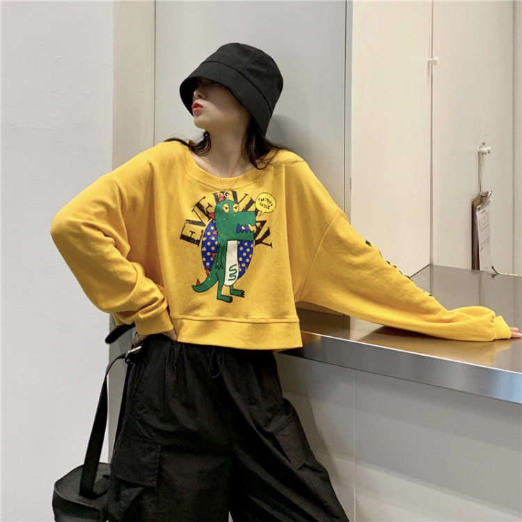 秋季短款卫衣2019新款女装秋装薄款韩版潮宽松ins长袖高腰上衣服