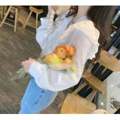 春季新款V领荷叶边长袖杏色小衫潮
