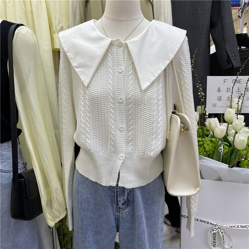 春季新款洋气百搭长袖娃娃领针织开衫上衣女