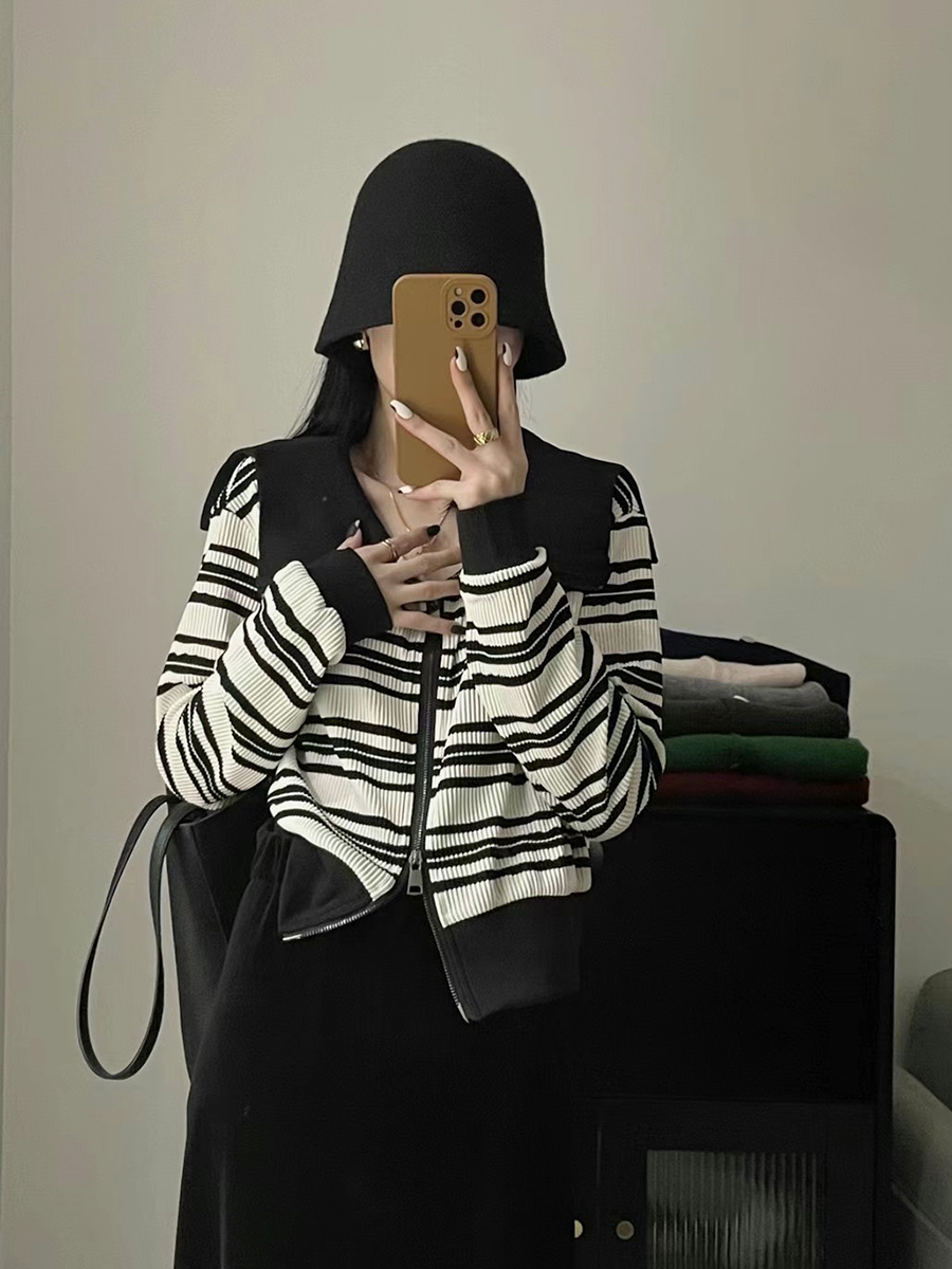 大翻领条纹短款外套女秋季新款设计感韩版宽松百搭开衫上衣潮