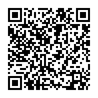 13336136717
